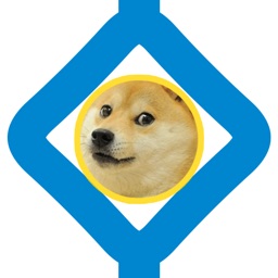 Doge In The Line - Stay In Bounds!