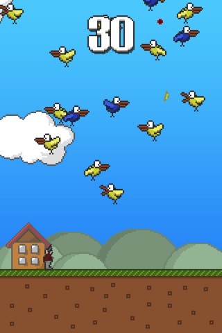 Duck Invasion: The life of a sniper shooting hunter. screenshot 3