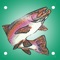 The Trout Master is a utility for catching Trout and Salmon
