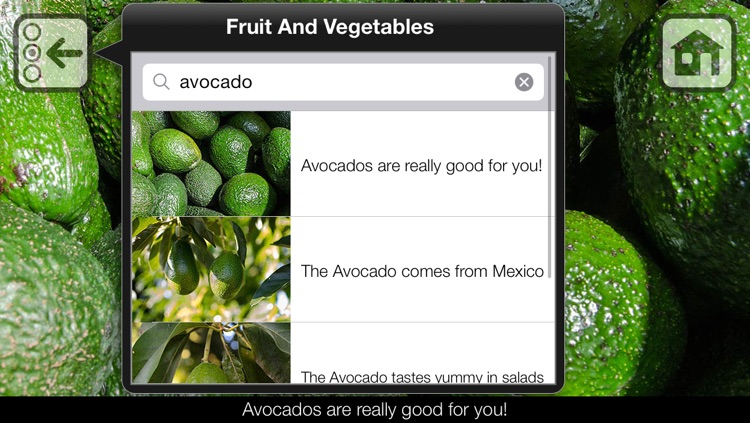 100 Things: Fruits & Vegetables – Picture Book for Toddlers