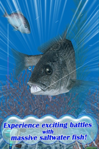 Reel Fishing Pocket 2 : Ocean screenshot 2