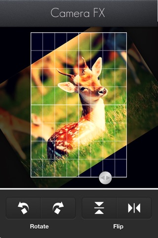 Camera FX screenshot 3