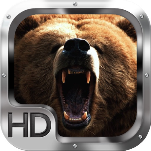 Bear Hunting 2 iOS App