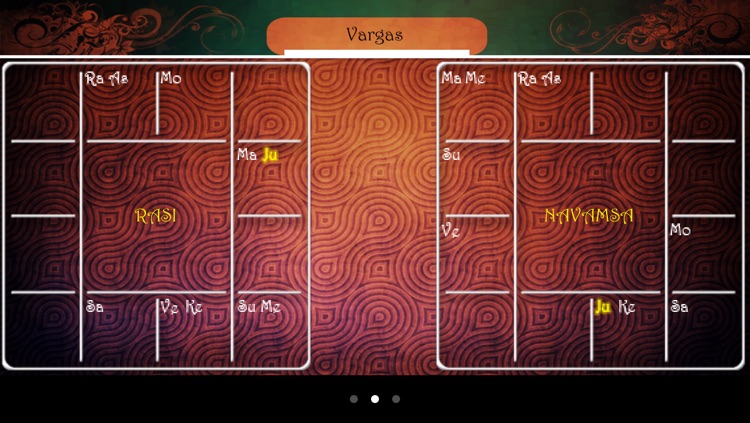 Vedic Astrology Yoga screenshot-3