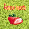 Remove insects