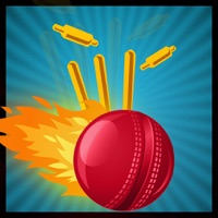 Cricket Knockdown