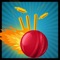 Cricket Knockdown is a simple physics based game where your only target is to knockdown stumps