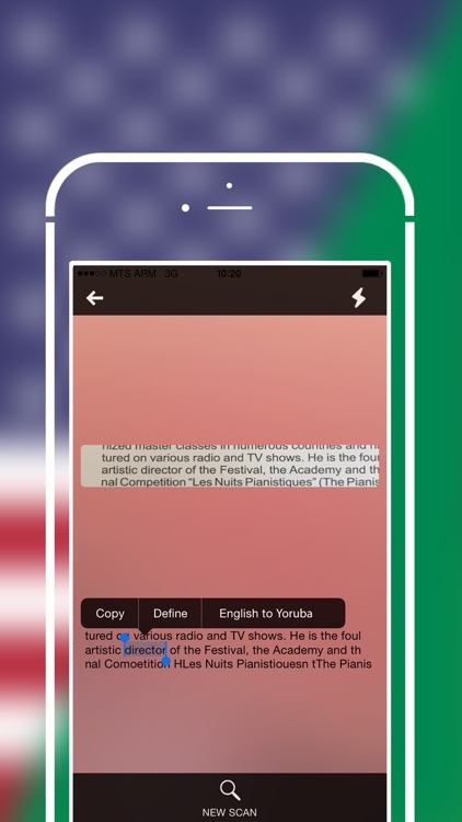 Offline Yoruba to English Language Dictionary