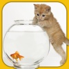 Cute Pets : Puzzles and more