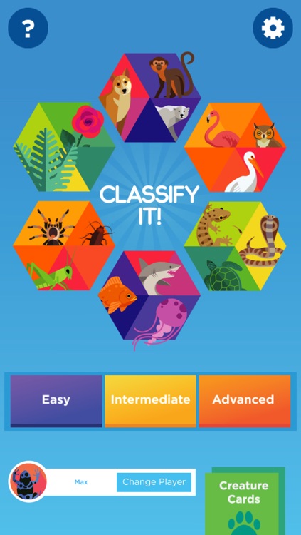 Classify It!