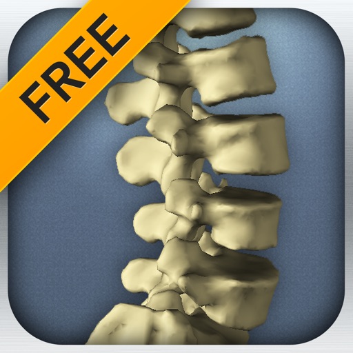 The Kinetic Spine (Free) icon