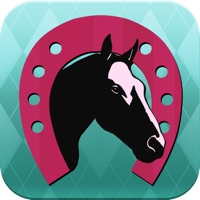 Équi'Quizz 3 : Au Galop ! sur PC