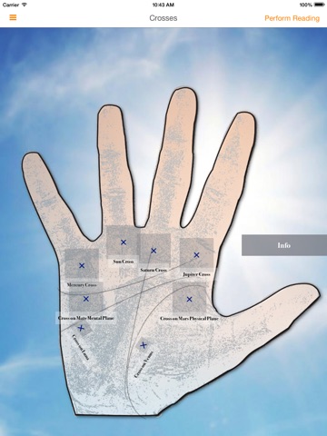 ThePalmist screenshot 3