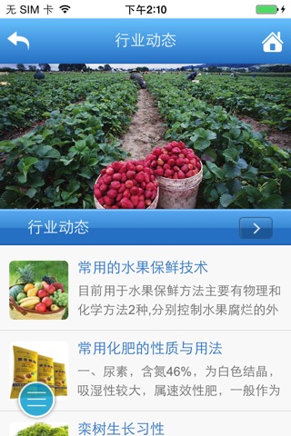 河南农副产品网 screenshot 3