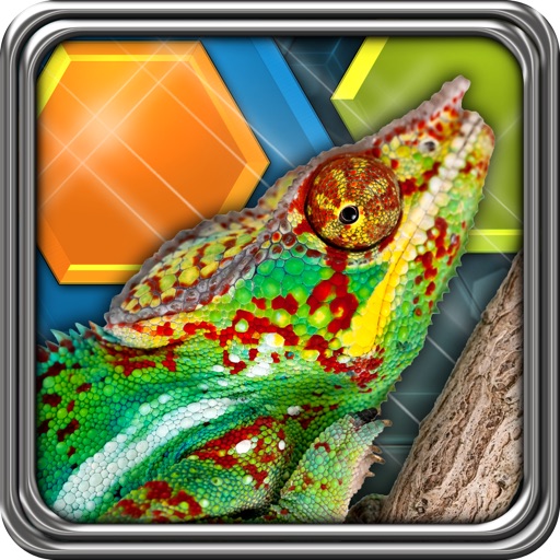 HexLogic - Reptiles Icon