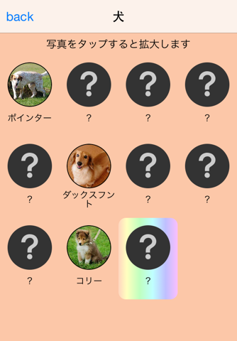 Are you lucky? Animal Spinner screenshot 4