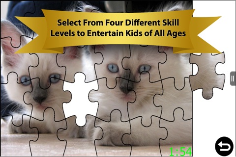 Cats - Big & Small, Housecats, Cheetas, Lions, Panthers & Leopards Videos, Games, Photos, Books & Interactive Activities for Kids by Playrific screenshot 4