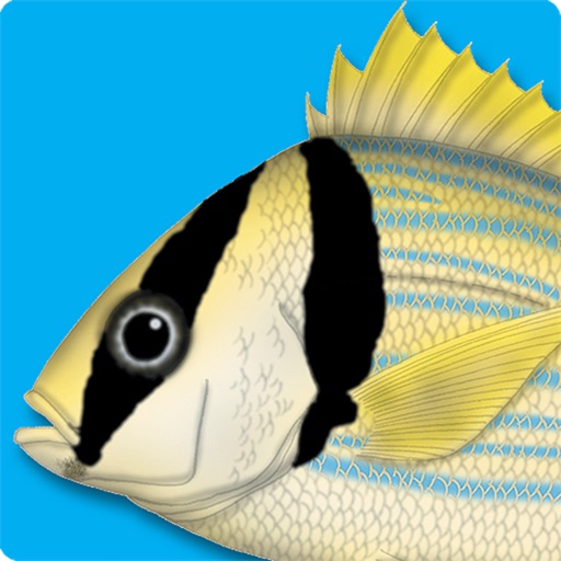 Marine Fishes - Identification Guide for iPad