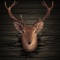 Ace Hunter 3D : Big Buck Deer