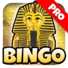 Ancient Bingo Pharaoh: Egyptian Pyramid - Pro Edition