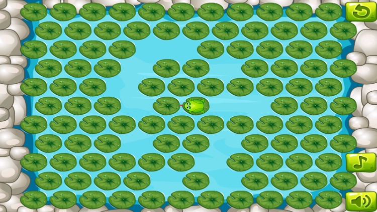 Crazy Froggy Frog Challenge - Cute Lilypad Jumping Board Puzzle