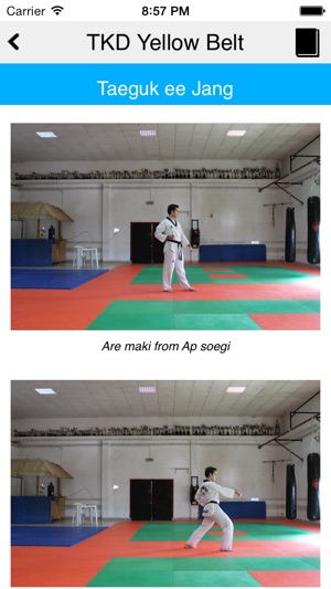 The Taekwondo Yellow Belt(圖3)-速報App