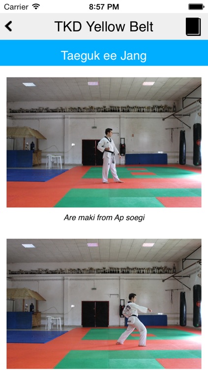 The Taekwondo Yellow Belt