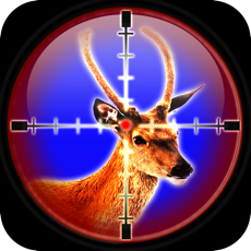 Activities of Deer Shooting Season: Buck Animal Safari Hunting Tournament Challenge