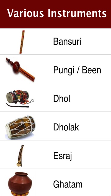 Indian Musical Instruments Free screenshot-4