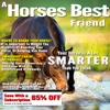 A Horses Best Friend