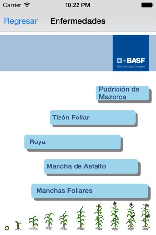 BASF México - Cultivo del Maíz screenshot 3