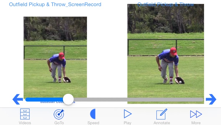 Baseball Coach Plus screenshot-3
