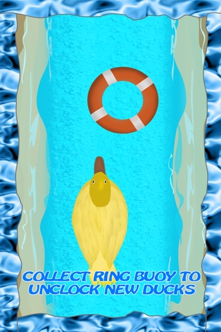 Tiny Plastic Duck Racing : Summer Water Race to Win - Free Edition screenshot 3