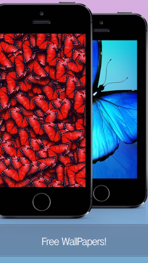 Butterfly Wallpapers, Backgrounds & Themes - Download Free H(圖2)-速報App