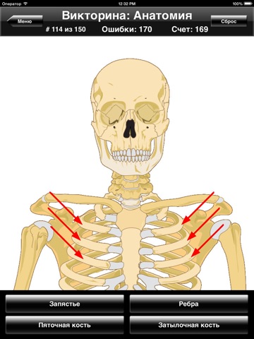 Anatomy Quiz for iPad screenshot 2