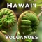 Plants of Hawaii Volcanoes National Park