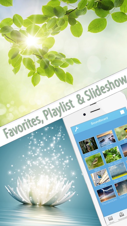 SPA Music for Relaxation and Massage Therapy