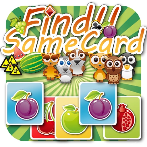 FindCard :) icon