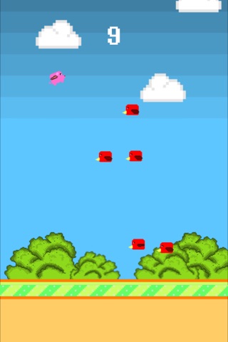 Piggy vs Birds screenshot 4