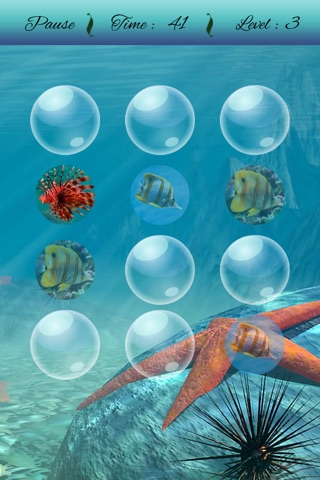 Fish Matching Puzzle Game screenshot 3