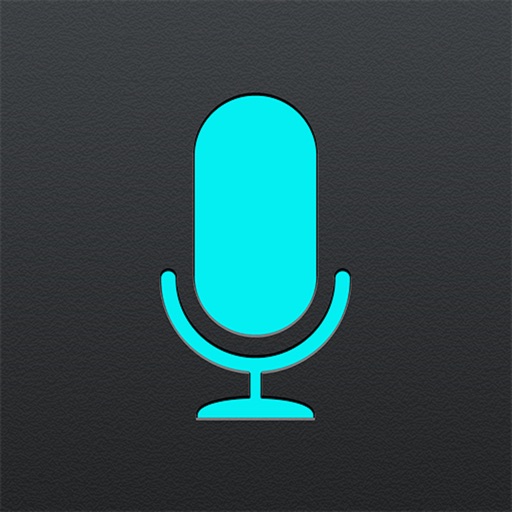 InstaRecord iOS App