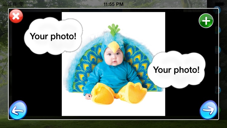DIY Baby Flash Cards - Birds screenshot-4