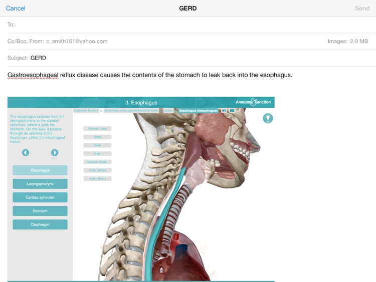 Anatomy & Function: A 3D Visual Reference of the Human Body screenshot-4