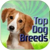 Dog Breeds Pet Finder Paid