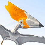 Pterosaurs Flight in the Age of Dinosaurs