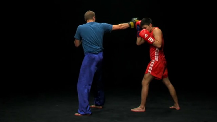Sanda - Chinese Boxing