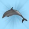 Using sight and sound, explore the Animals of the Ocean, in this app that is suitable for toddlers through to adults