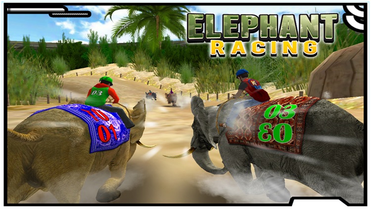 Elephant Racing