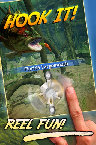 Bass Pro Shops: The Strike Pro Angler screenshot 4