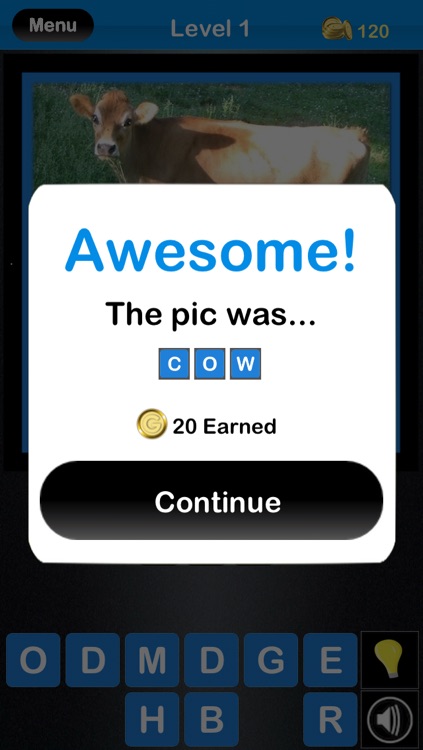 Name that Pic! screenshot-3